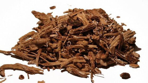 Tsikoria în Magicoa